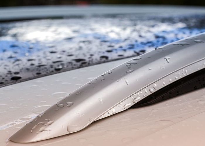 ANONIZADO 7 ANONIZADO 7